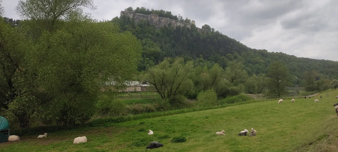 IMG_20260509_142012_KÖNIGSTEIN