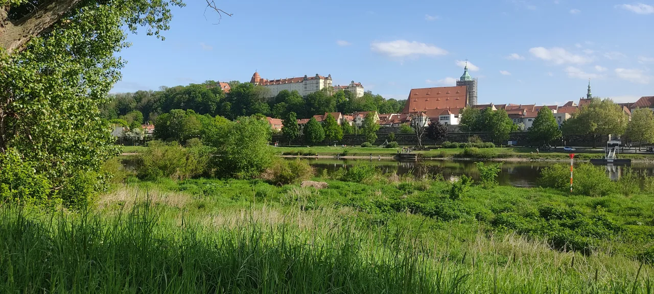 IMG_20260509_170041_PIRNA