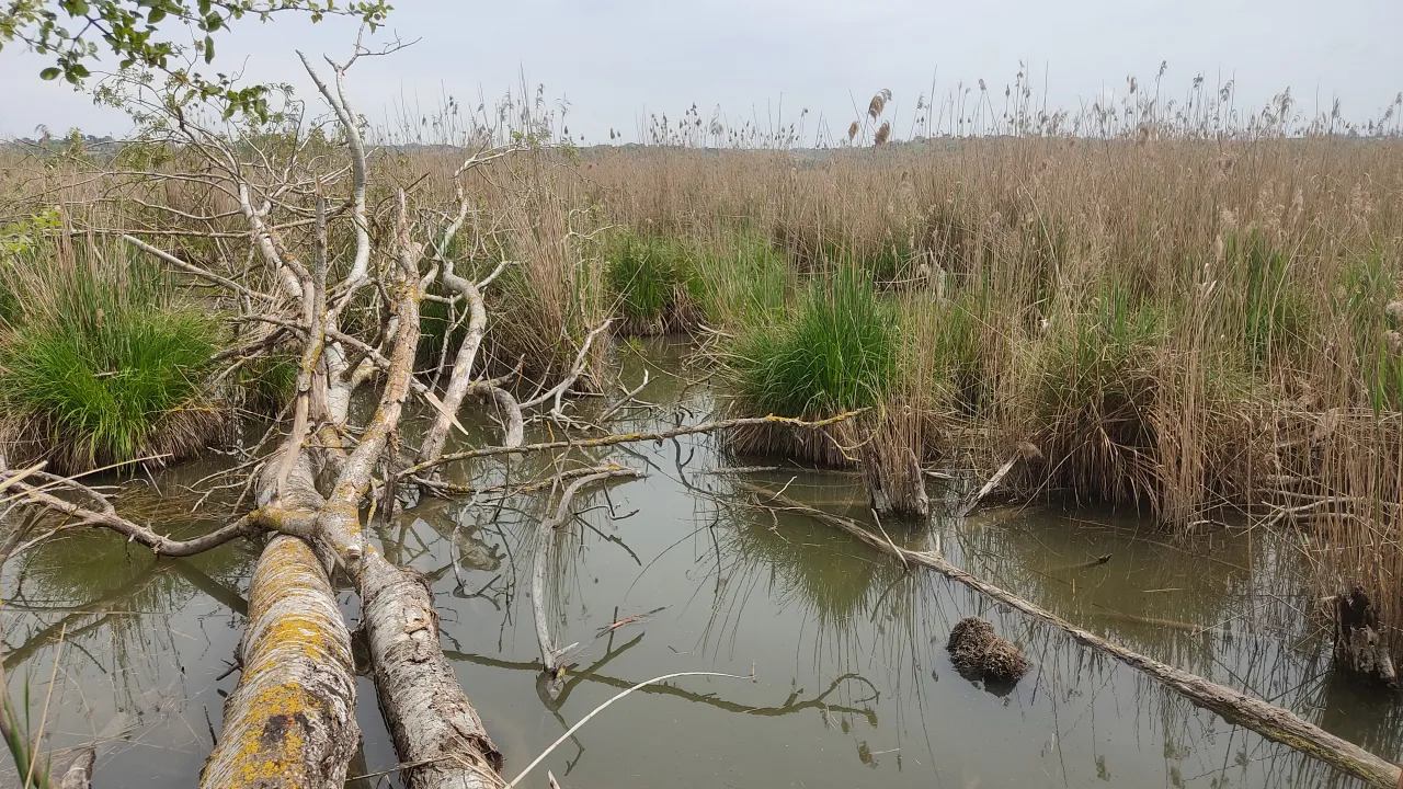 IMG_20260412_133934