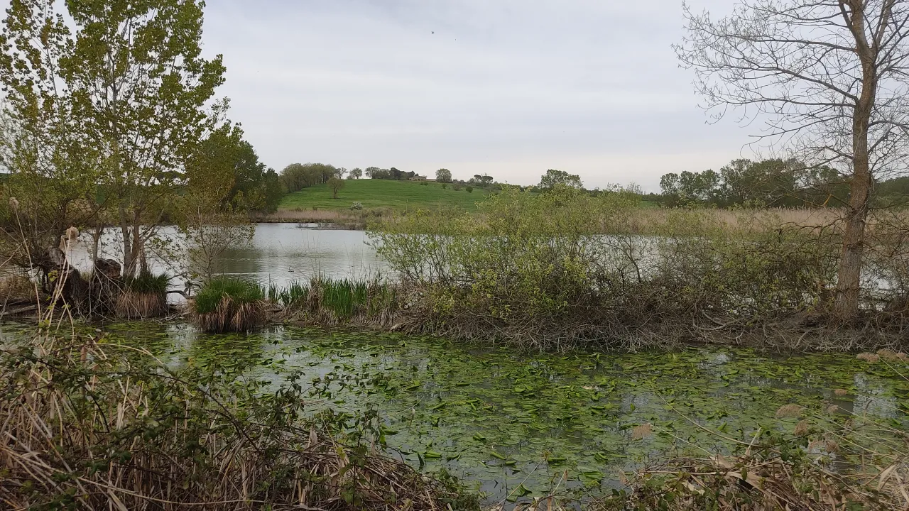 IMG_20260412_142232