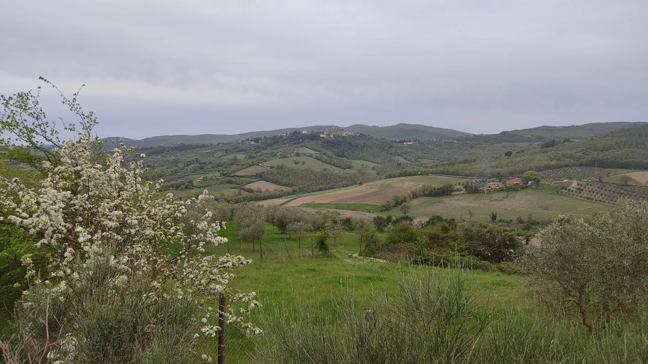 IMG_20260412_182307